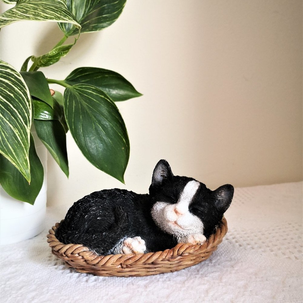 Cute Sleeping Cat in Basket
